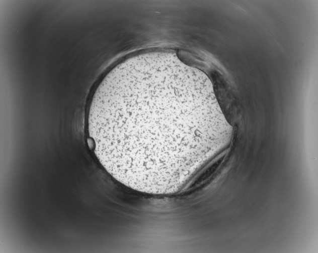 X0000088431220200706121444