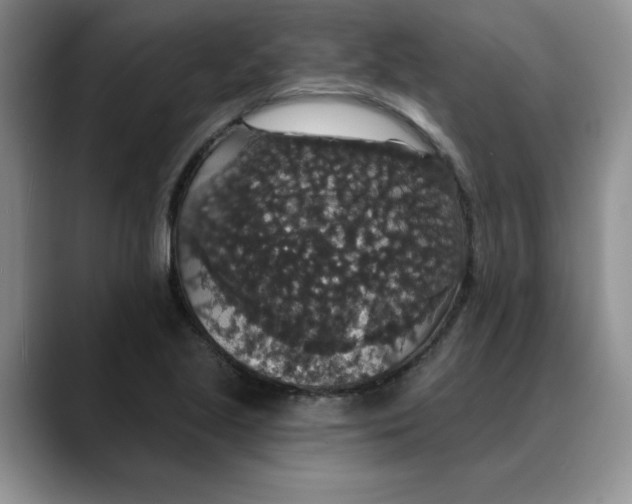 X0000088431221200706121444