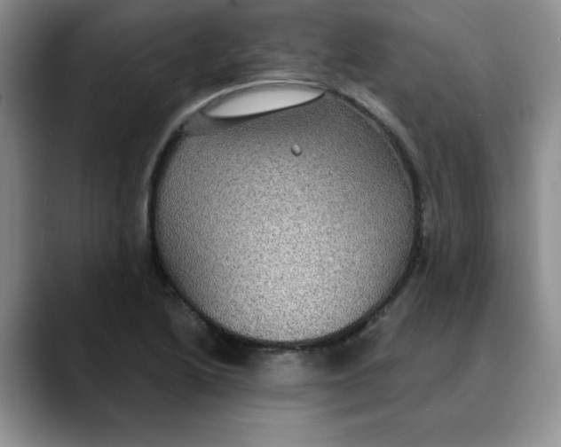 X0000088431222200706121444