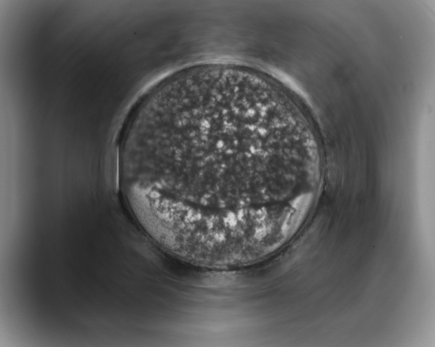 X0000088431223200706121445