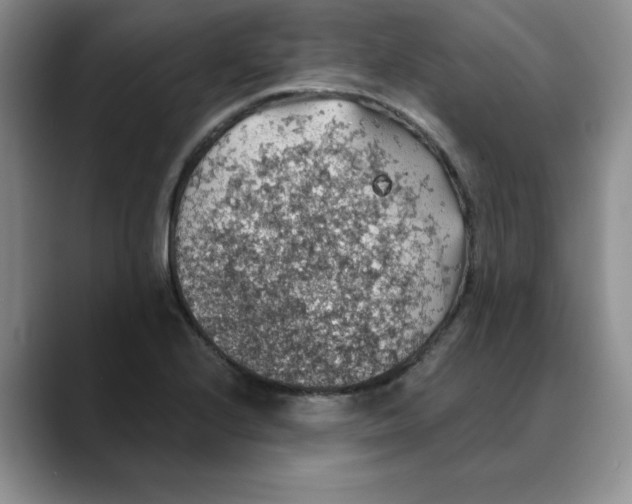 X0000088431224200706121445