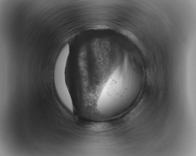 X0000088431225200706121445