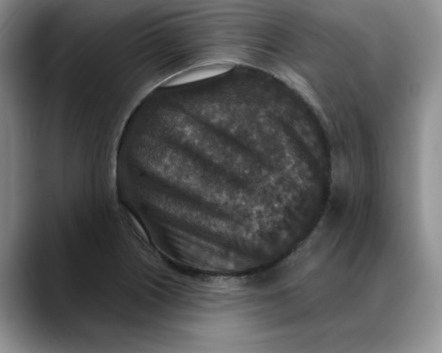 X0000088431226200706121445