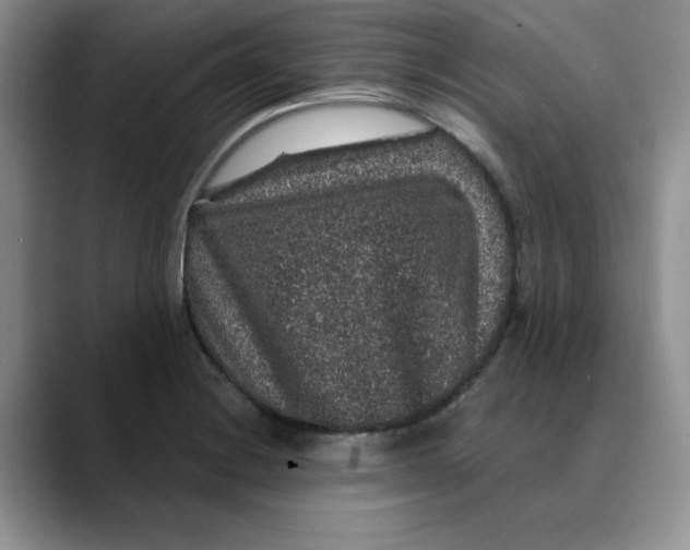 X0000088431228200706121445