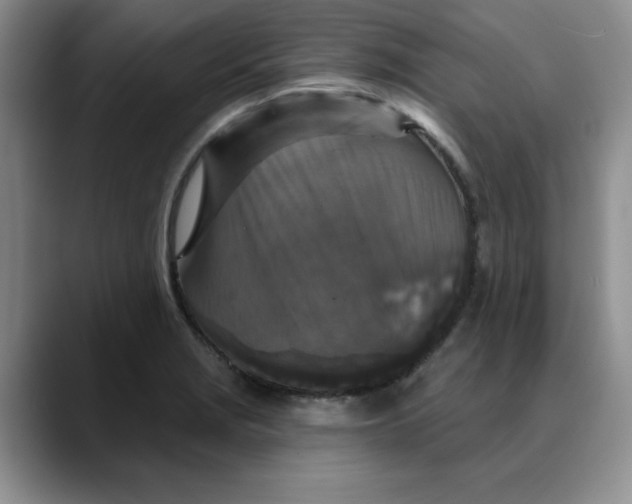 X0000088431229200706121445