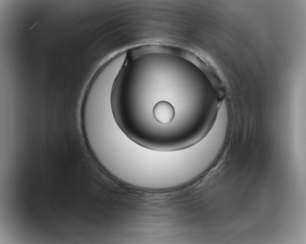 X0000088431230200706121445