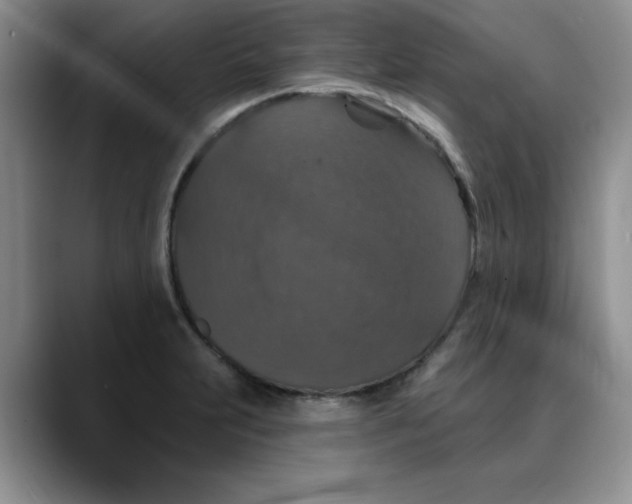 X0000088431231200706121445