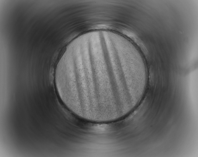 X0000088431233200706121445