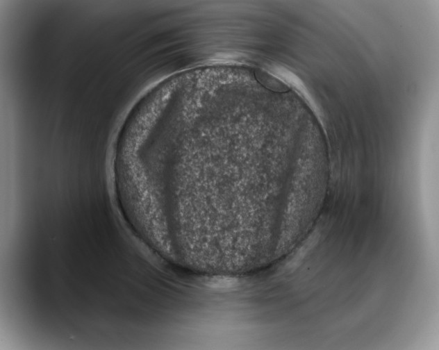 X0000088431235200706121445