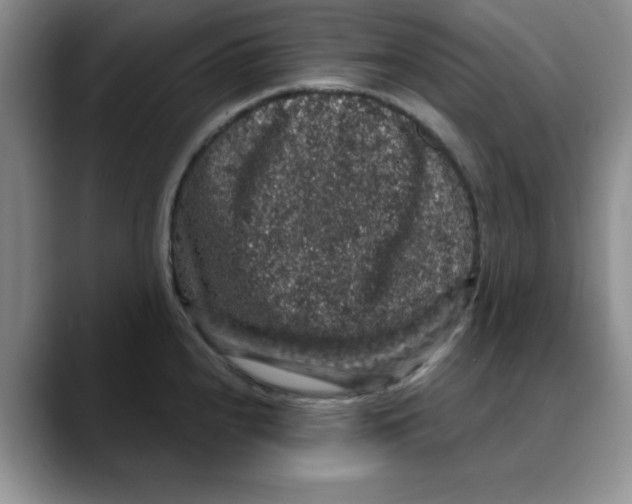 X0000088431240200706121445