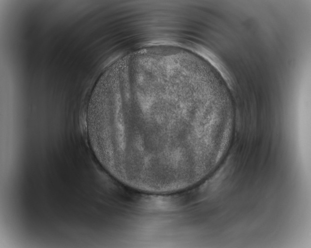 X0000088431241200706121445