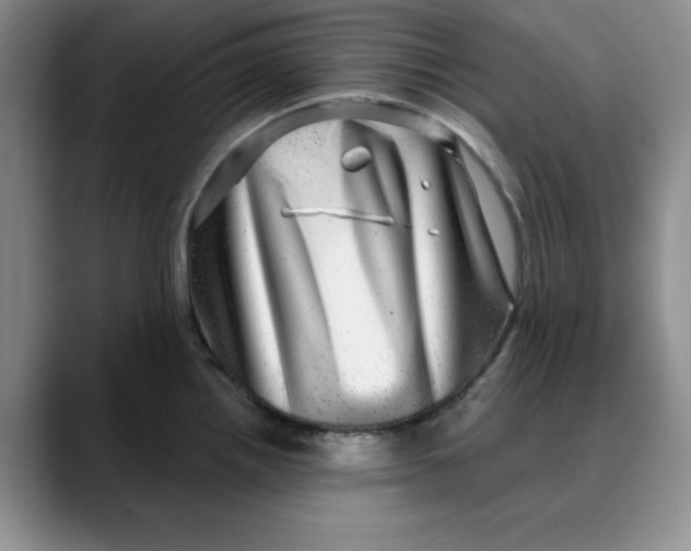 X0000088431242200706121445