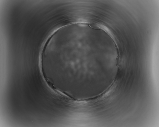 X0000088431243200706121445