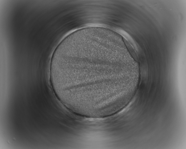 X0000088431244200706121445