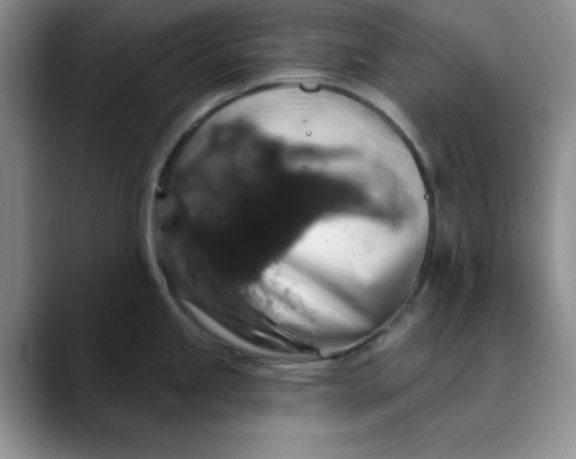 X0000088431245200706121445