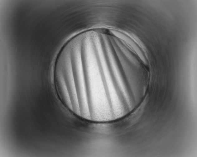 X0000088431246200706121445