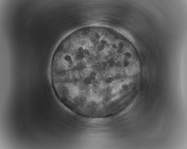 X0000088431247200706121445