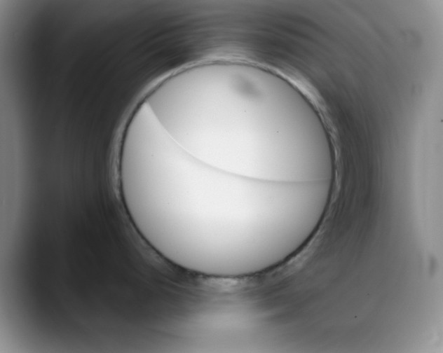 X0000088431248200706121445