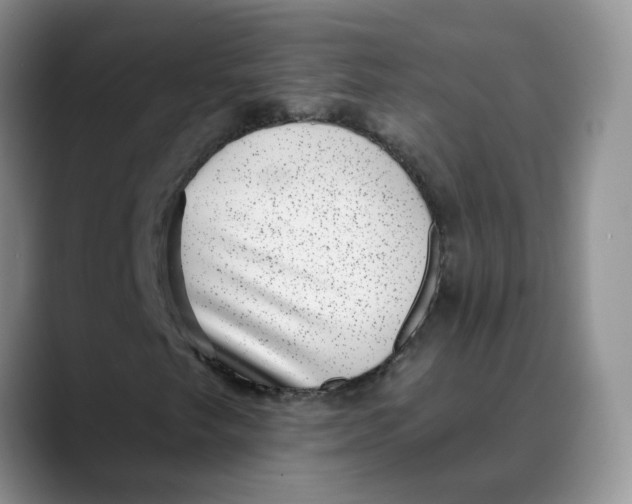 X0000088431249200706121444