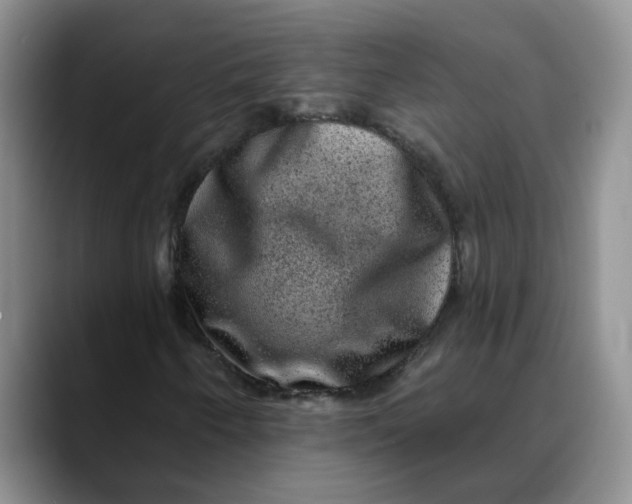 X0000088431250200706121444