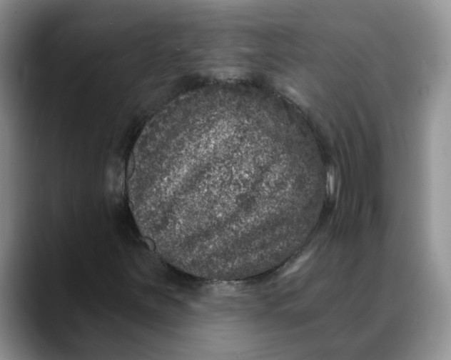 X0000088431251200706121444