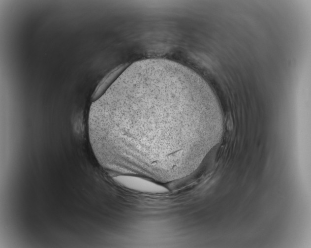 X0000088431252200706121444