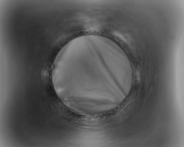 X0000088431254200706121444