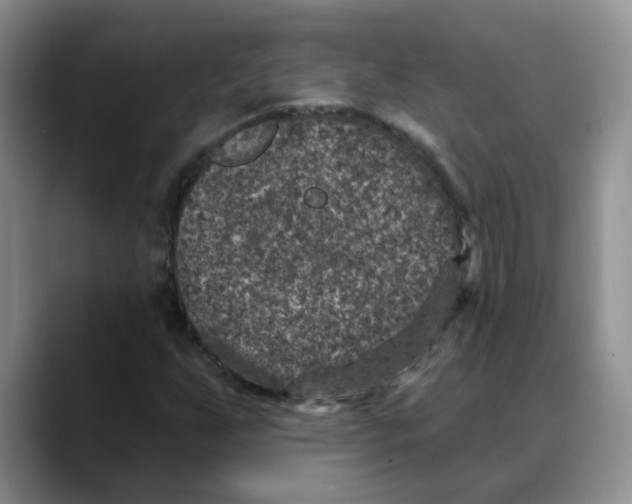 X0000088431255200706121444