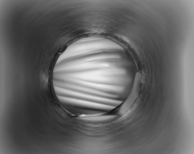 X0000088431257200706121444