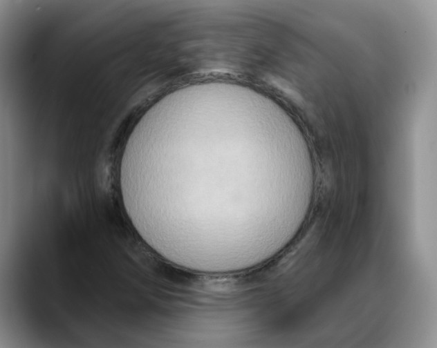 X0000088431258200706121444