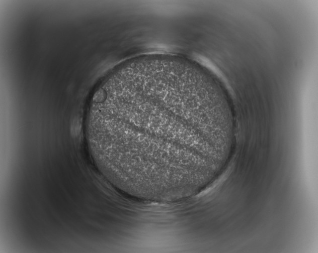 X0000088431259200706121444