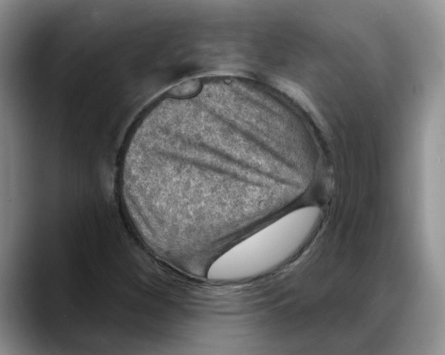 X0000088431260200706121444