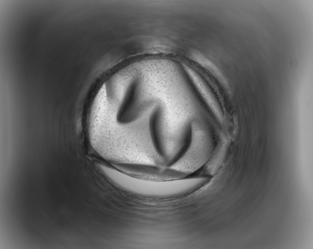 X0000088431261200706121444