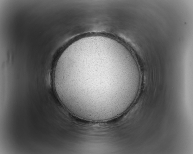 X0000088431262200706121444