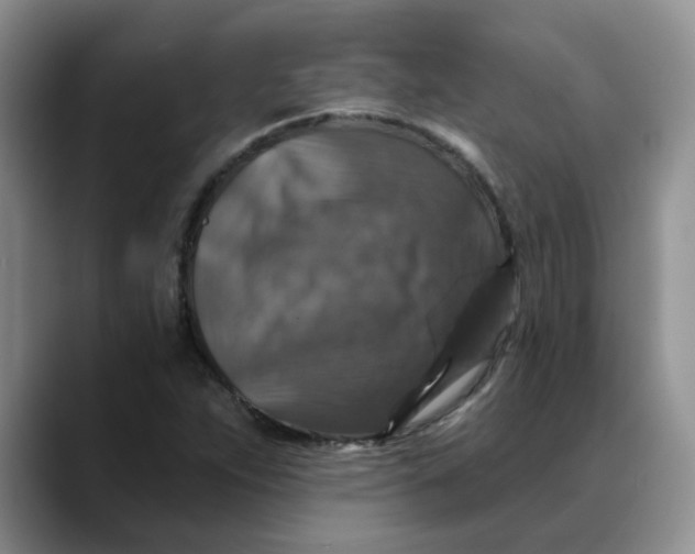 X0000088431263200706121444