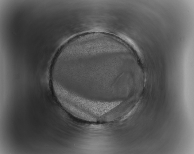 X0000088431264200706121444