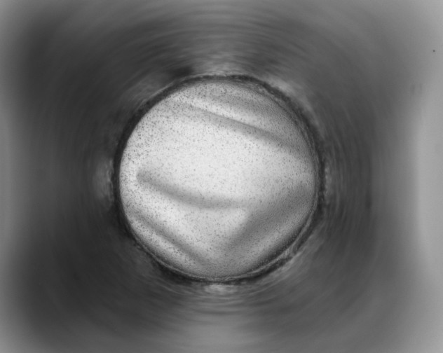 X0000088431265200706121444