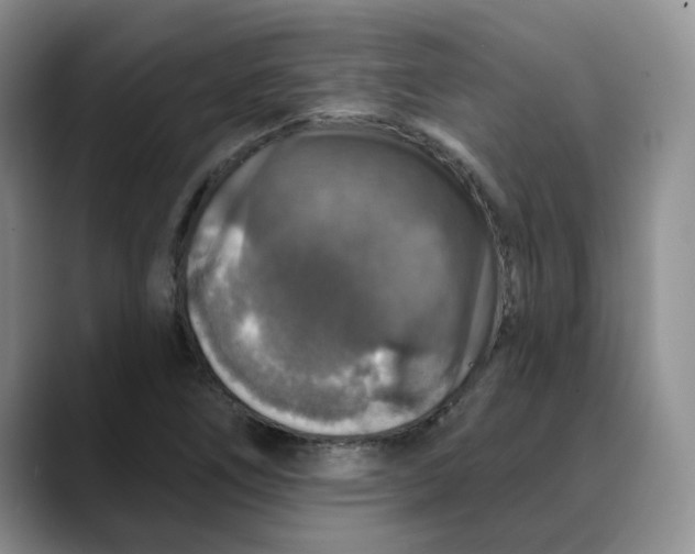 X0000088431266200706121444