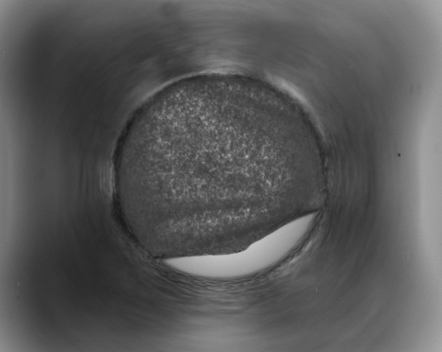 X0000088431267200706121444