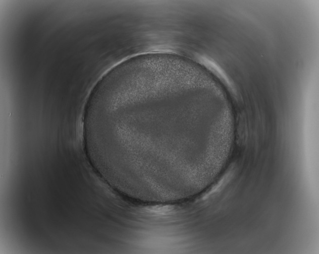 X0000088431268200706121444