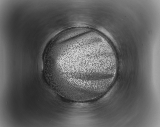 X0000088431269200706121444