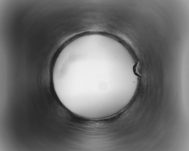 X0000088431270200706121444