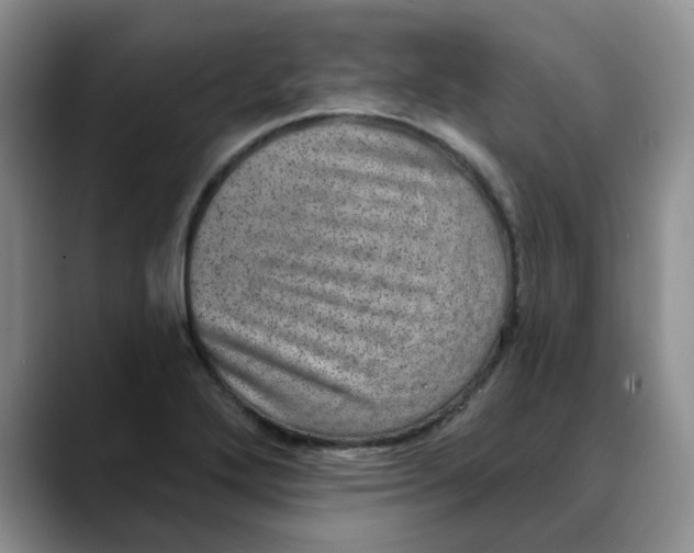 X0000088431272200706121444