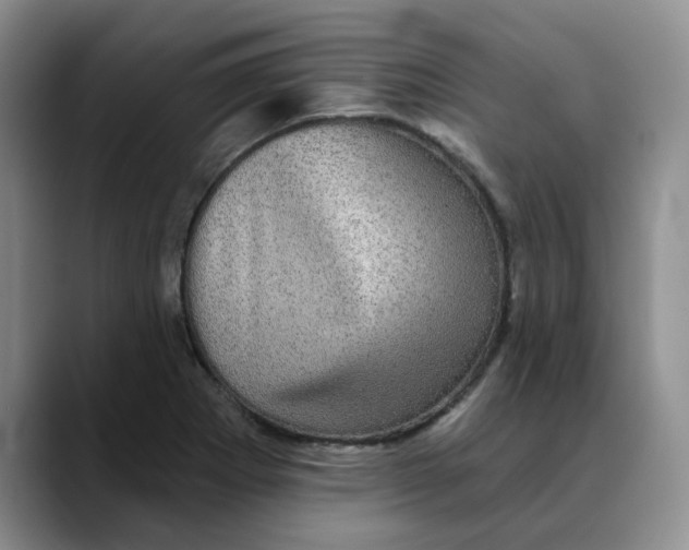 X0000088431273200706121444