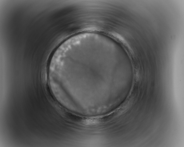 X0000088431274200706121444