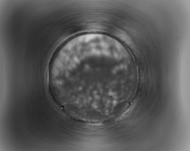 X0000088431275200706121444