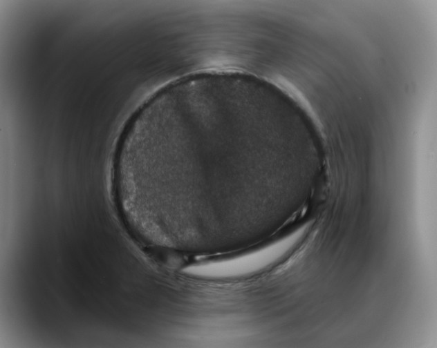 X0000088431277200706121444