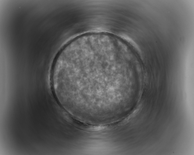 X0000088431278200706121444