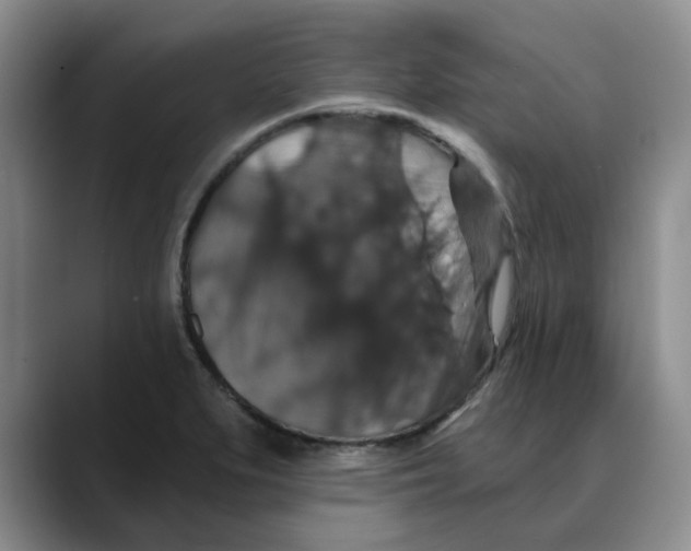 X0000088431279200706121444