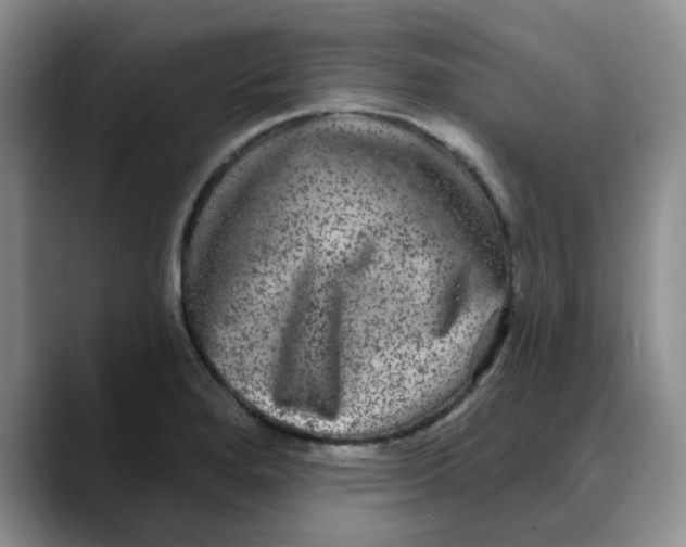 X0000088431280200706121444